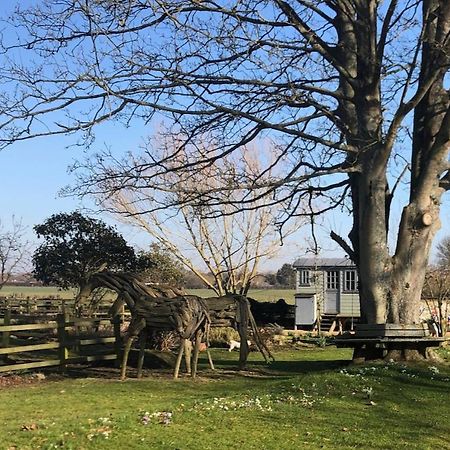 The Shepherd'S Hut @ Chichester Cottage المظهر الخارجي الصورة
