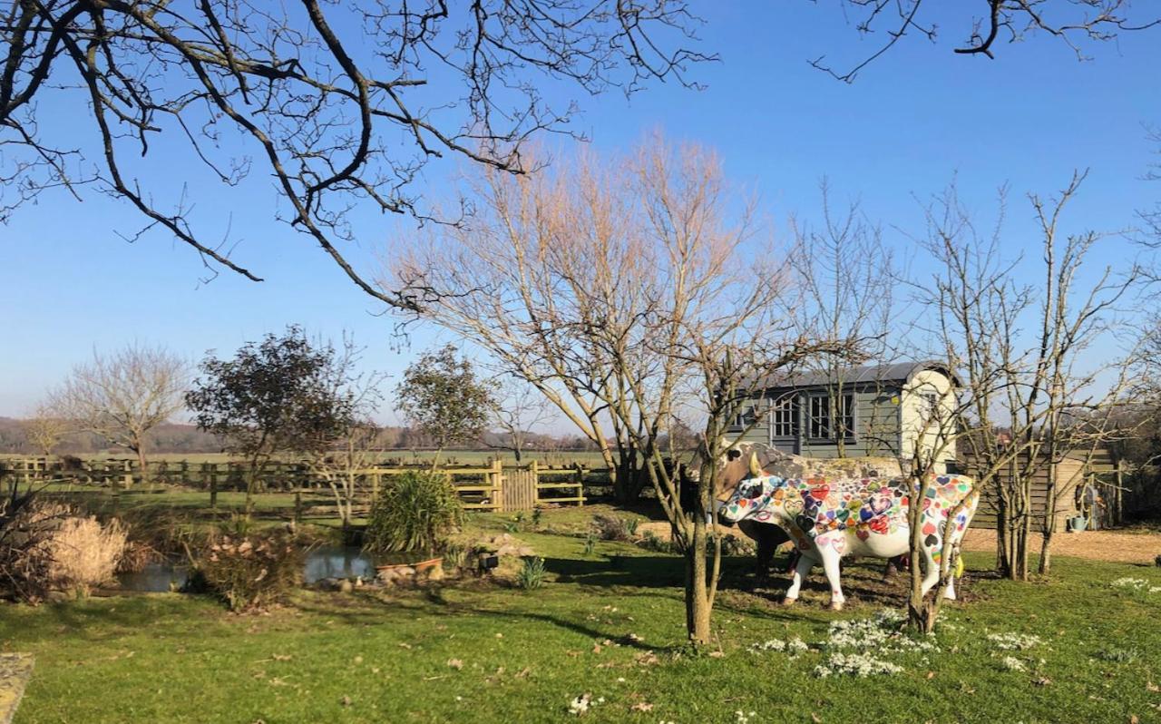 The Shepherd'S Hut @ Chichester Cottage المظهر الخارجي الصورة