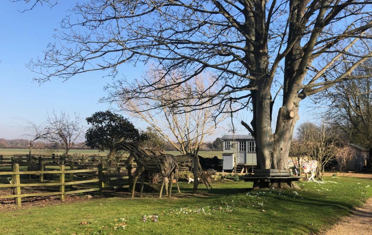 The Shepherd'S Hut @ Chichester Cottage المظهر الخارجي الصورة